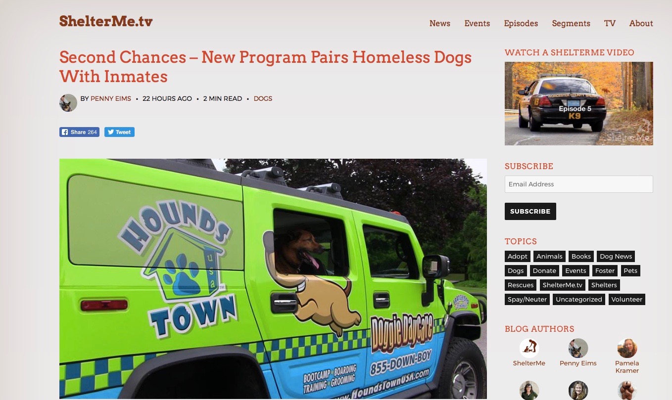 news article about pairing homeless dogs with inmates