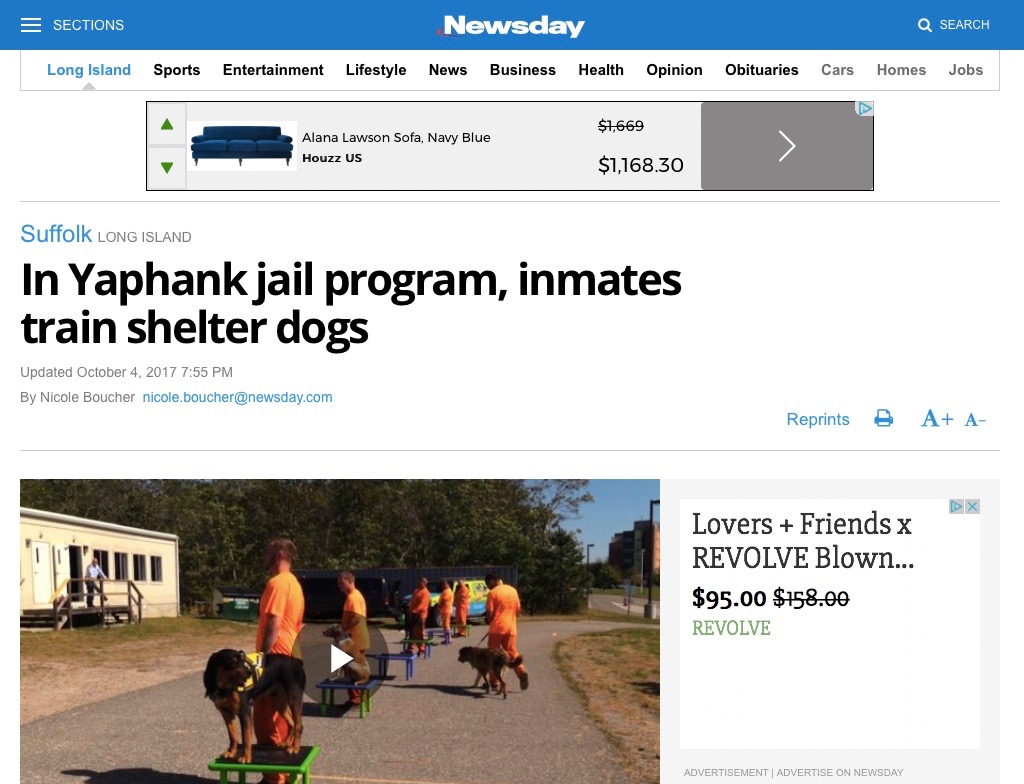 screenshot of news broadcast discussing jail program with shelter dogs