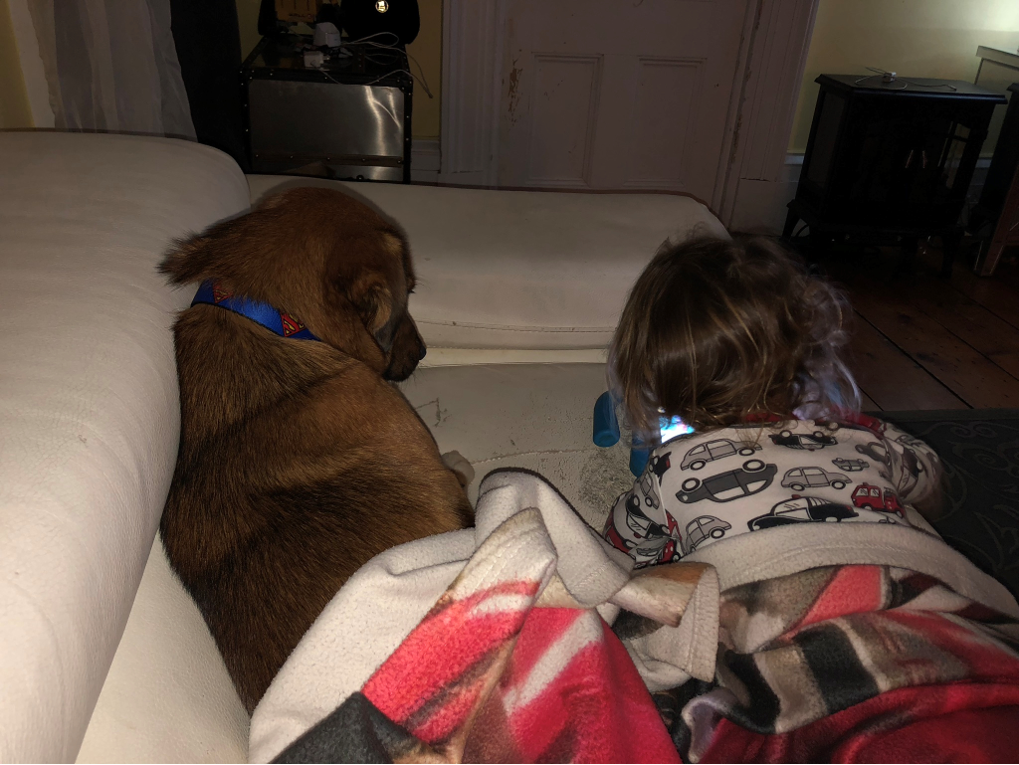 dog laying next to small boy on couch