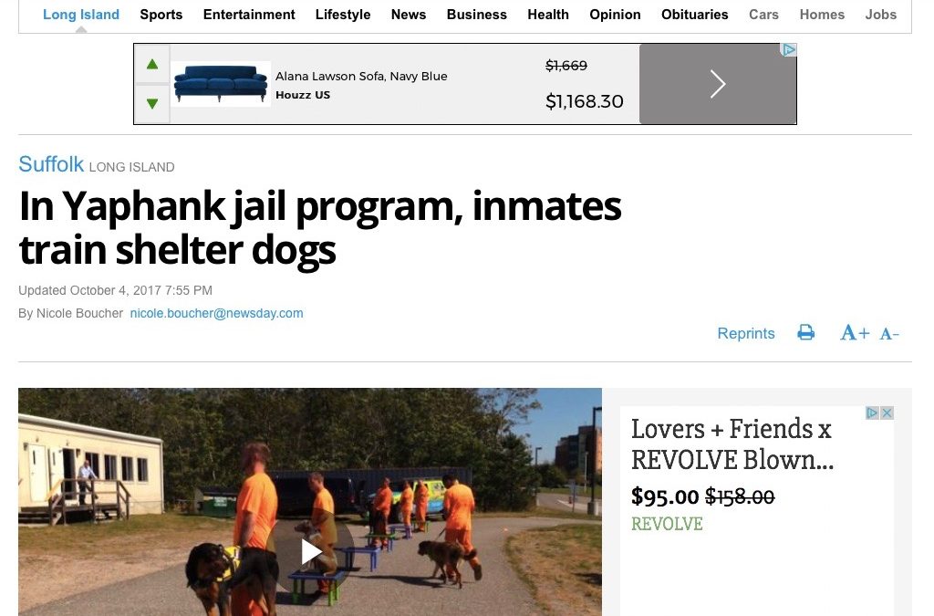 blog post about jail program training shelter dogs