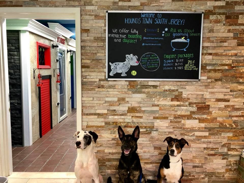 three dogs sitting under welcome to hounds town new jersey sign