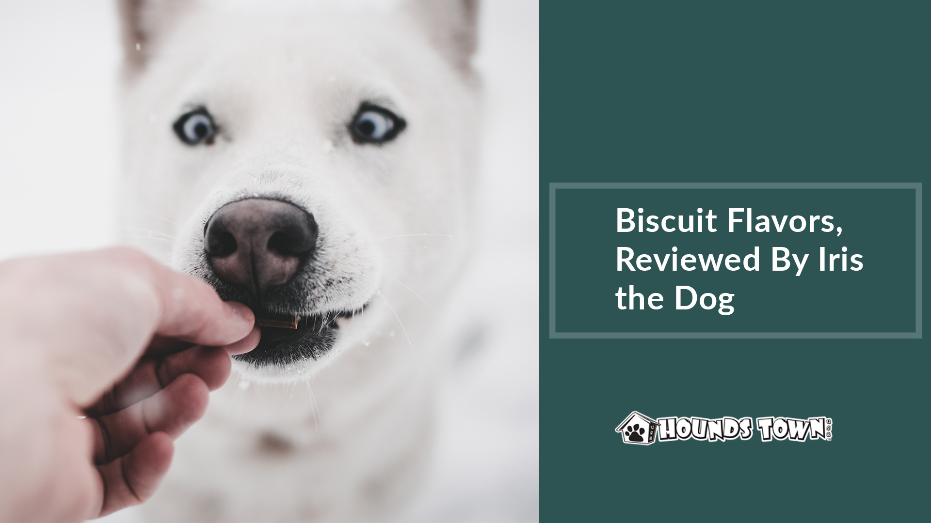 dog biscuit flavor reviews