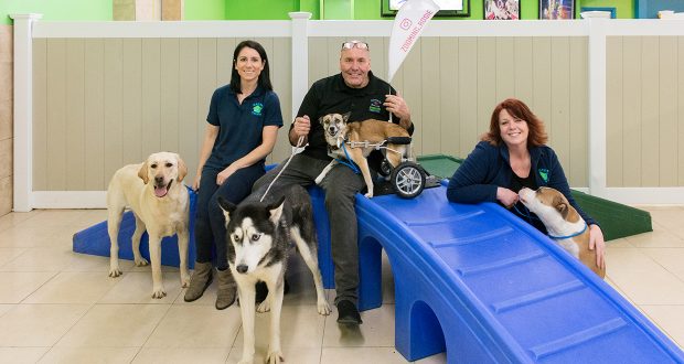 Hounds Town Featured In Long Island Business News
