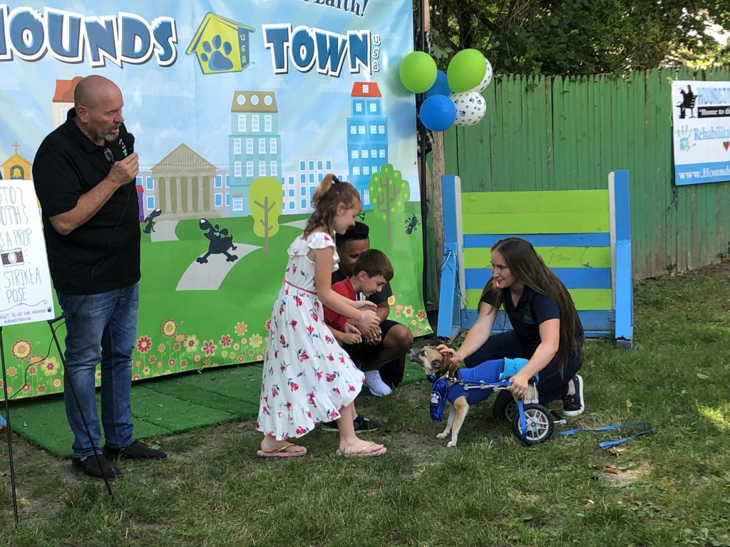 Hounds Town Doggie Day Care Celebrates Survivors