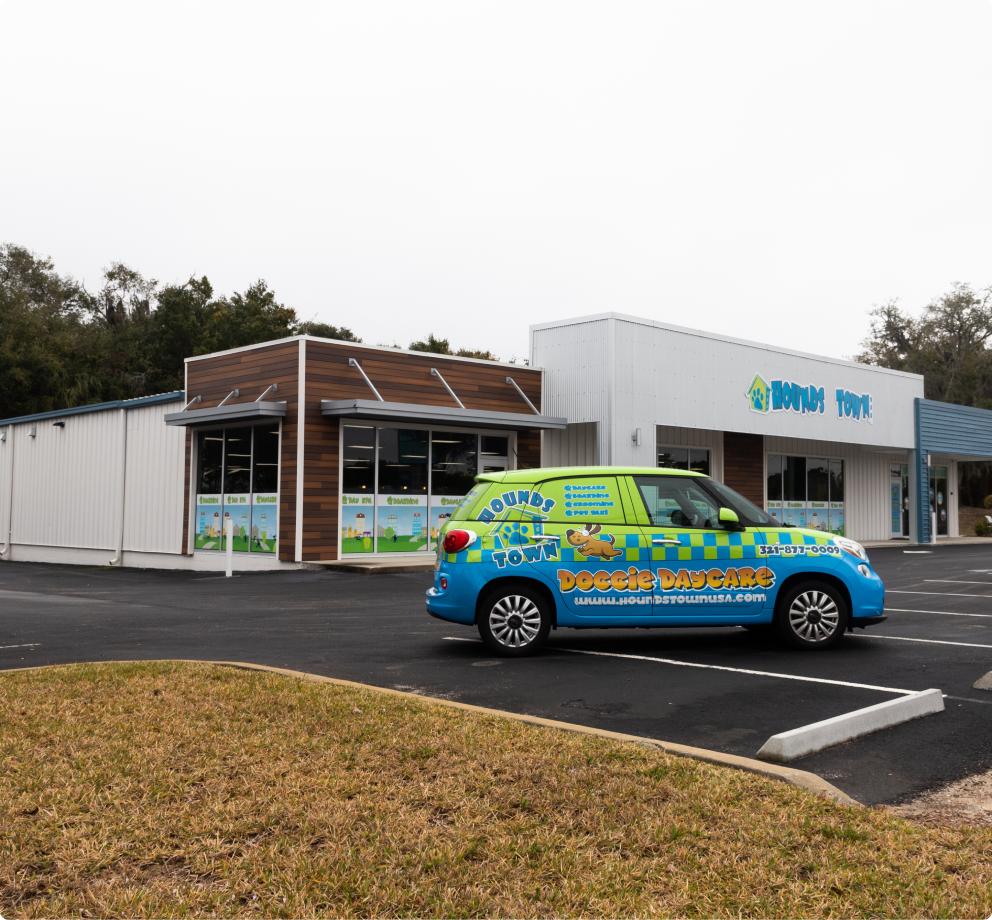 Hounds Town - Clearwater