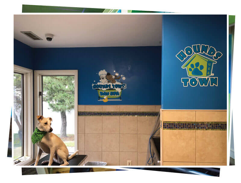 Dog Grooming Services Bergen County Hounds Town Usa