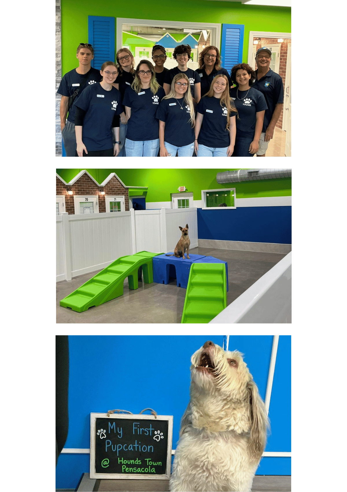 Hounds Town in Pensacola, Florida, featuring the trained team, large dog play room and dog's first pupcation at dog boarding