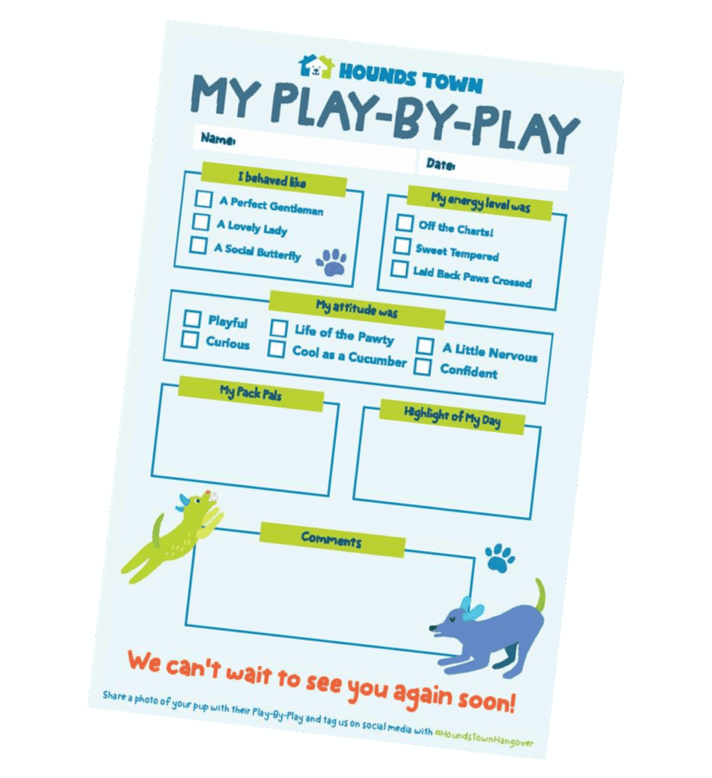 Play-by-play doggy report card from Hounds Town dog daycare and boarding
