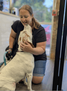 A dog at Hounds Town in Houston gets adopted